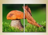 Картина Magic Color Diptych Mushroom and leaf (2613761)