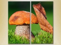 Картина Magic Color Diptych Mushroom and leaf (2613773)