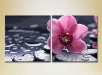 Картина Magic Color Diptych Orchid Violet (2613803)