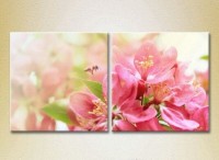 Картина Magic Color Diptych Pear Blossom and the Bee (2613763)