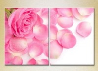 Картина Magic Color Diptych Pink rose and petals (2613819)