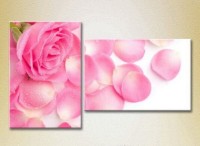 Картина Magic Color Diptych Pink rose and petals (2613828)