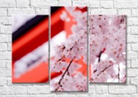 Pictură Magic Color Abstract cherry blossom branches (500226)
