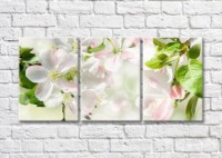 Картина Magic Color Apple twigs and flowers (500235)