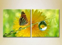 Pictură ArtPoster Butterfly and dew (2603027)