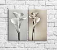 Картина ArtPoster Calla lilies bouquet in Black and White style (3467840)
