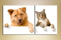 Картина ArtPoster Cat and dog (2603020)