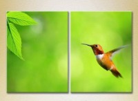 Картина ArtPoster Colibri 02 (2603010)