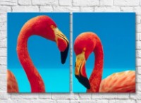 Картина ArtPoster Couple of flamingos against the blue sky (3451171)