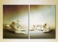 Картина ArtPoster Family of lions 01 (2603006)