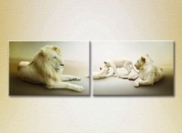 Pictură ArtPoster Family of lions 02 (2603004)