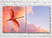 Картина ArtPoster Flamingos in the sky, bottom view (3451163)