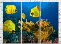 Pictură Magic Color Corals and Yellow fish at the bottom (3469177)