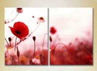 Картина Magic Color Diptych Poppies (2613796)