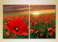 Картина Magic Color Diptych Poppy field (2613792)