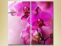 Картина Magic Color Diptych Purple Orchids (2613830)