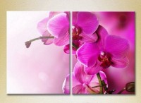Картина Magic Color Diptych Purple Orchids (2613840)
