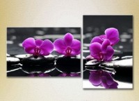 Картина Magic Color Diptych Purple orchids on stones (2613831)