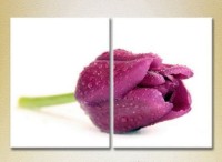 Картина Magic Color Diptych Purple Tulip (2613844)