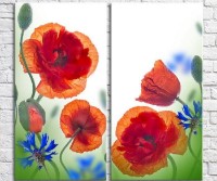 Картина Magic Color Diptych Red poppies and cornflowers (3428029)