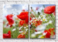 Картина Magic Color Diptych Red poppies and wildflowers (3428030)