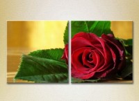 Картина Magic Color Diptych Red Rose (2613778)