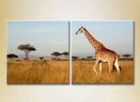 Картина ArtPoster Giraffes/Africa 01 (2603012)