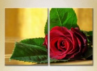 Картина Magic Color Diptych Red Rose (2613781)