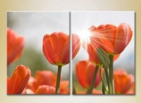 Картина Magic Color Diptych Red tulips (2613786)