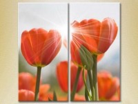 Картина Magic Color Diptych Red tulips (2619624)