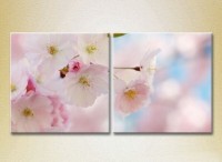 Картина Magic Color Diptych Sakura Flowers (2613838)