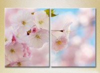 Картина Magic Color Diptych Sakura Flowers (2613839)