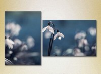 Картина Magic Color Diptych Snowdrops (2613804)