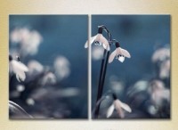 Картина Magic Color Diptych Snowdrops (2613806)