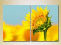 Картина Magic Color Diptych Sunflower (2613810)