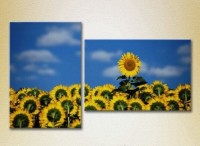 Картина Magic Color Diptych Sunflower Field (2613808)