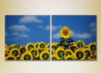 Картина Magic Color Diptych Sunflower Field (2613809)