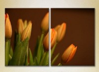 Картина Magic Color Diptych Tulips (2613833)