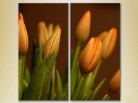 Картина Magic Color Diptych Tulips (2613843)