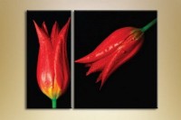 Картина Magic Color Diptych two Red tulips (2619643)