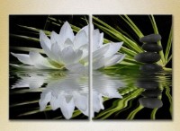 Картина Magic Color Diptych Water lily and massage stones (2613757)