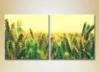 Картина Magic Color Diptych Wheat Field (2613813)