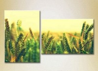 Картина Magic Color Diptych Wheat Field (2613814)