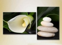 Картина Magic Color Diptych White Calla lilies (2613780)