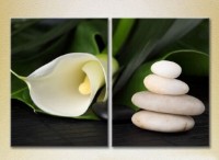 Картина Magic Color Diptych White Calla lilies (2613832)