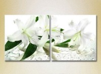 Картина Magic Color Diptych White Lilies (2613747)