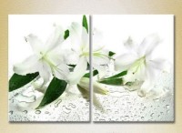 Картина Magic Color Diptych White Lilies (2613755)