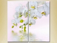 Картина Magic Color Diptych White Orchid (2613751)