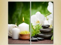 Картина Magic Color Diptych White orchids and bamboo (2613749)