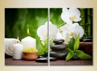 Картина Magic Color Diptych White orchids and bamboo (2613765)